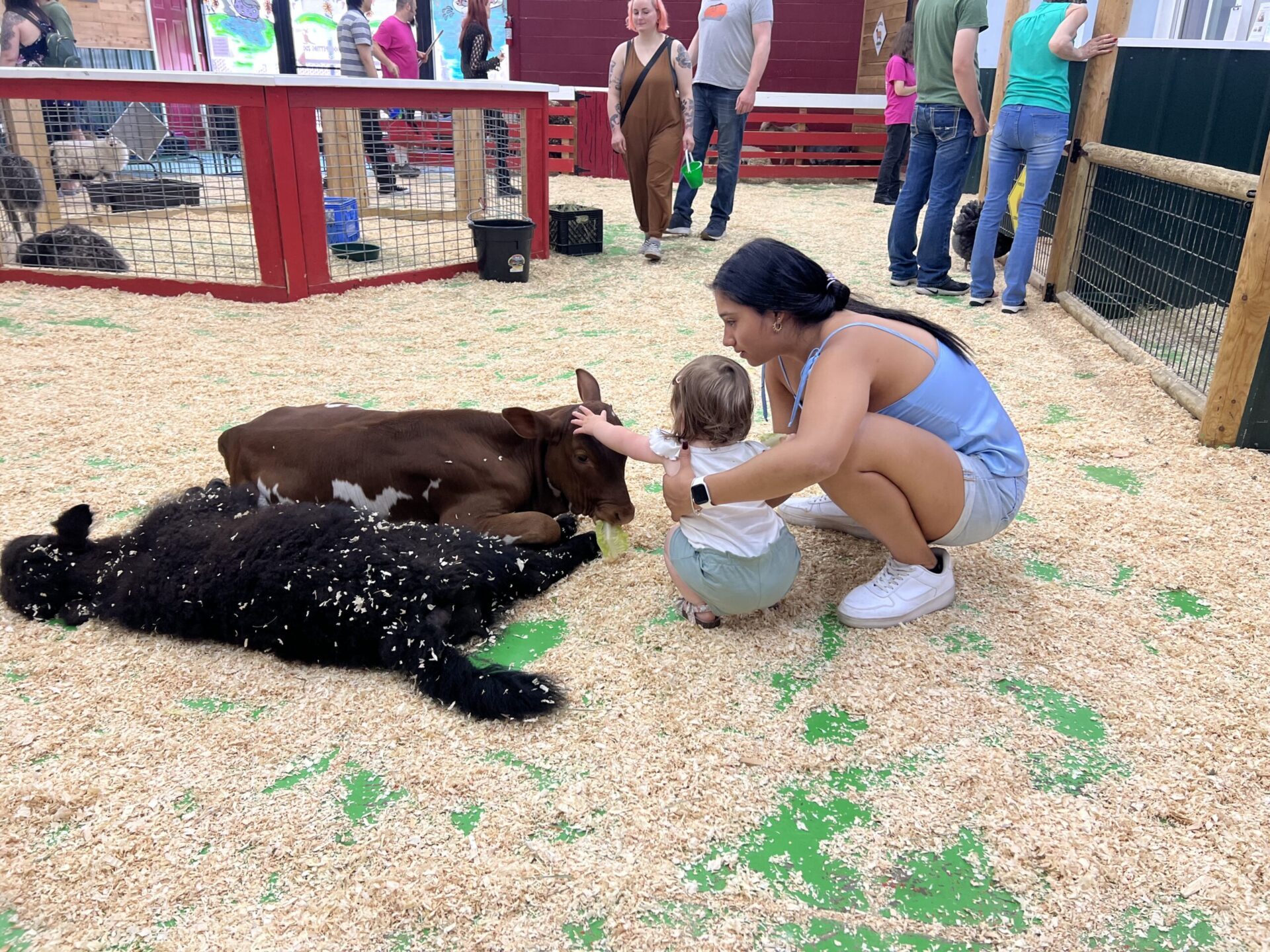 Animal encounter
