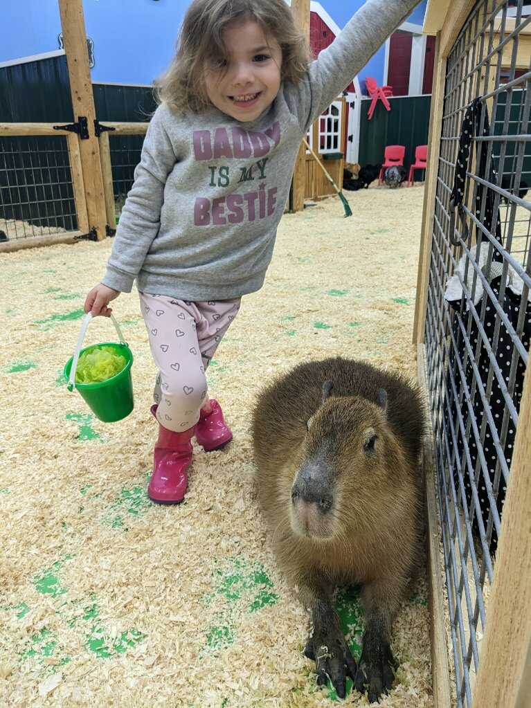 Animal encounter